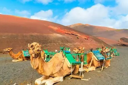 Villa Calma En Teguise, 